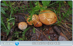 0_10963a_4b3b0a6_orig.png