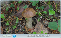 0_1097eb_6033a67c_orig.png