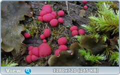 0_109815_738c08c0_orig.png