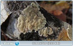0_1027f7_6cdeb79e_orig.png