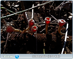 0_1043a2_230680b9_orig.png