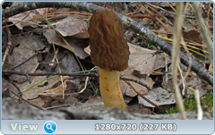 0_105605_18a0e573_orig.png