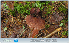 0_110683_deab246f_orig.png