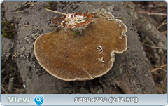 0_101fd2_f5202437_orig.png