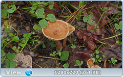 0_109634_aac59d6_orig.png