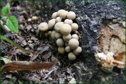 0_1233f4_f646e028_orig.jpg