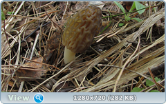 0_10561d_92e955cb_orig.png