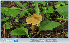 0_10b0f8_8d56d7b9_orig.png