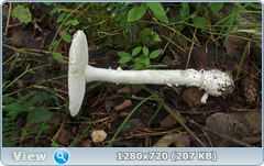 0_110280_3e02dd02_orig.png