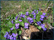 0_10cb84_38228a0e_orig.png