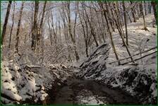 0_f1826_efa8929b_orig.jpg