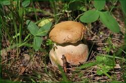 0_1244c0_55d959e6_orig.jpg