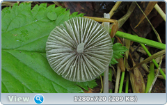 0_109264_8581a909_orig.png