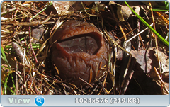 0_137607_6f3113d6_orig.png