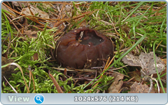 0_137605_6b65a109_orig.png