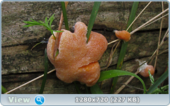 0_10931f_7a5eaf1b_orig.png
