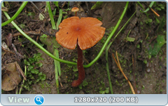 0_10aa4c_c4f74ae4_orig.png