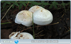 0_10af32_a15add80_orig.png