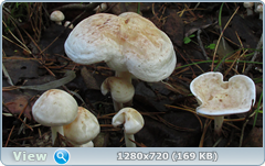 0_10af38_5abdae54_orig.png