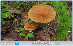 0_10b576_80f05053_orig.png