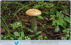 0_10dd37_90f7893f_orig.png