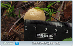 0_10de63_420894e3_orig.png