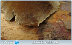 0_10f327_953a8691_orig.png
