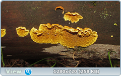 0_10f882_ca4a96fa_orig.png