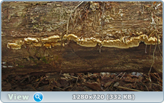 0_10200c_74f84b58_orig.png