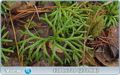 0_103891_9f57d38d_orig.png
