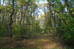 0_131876_7193696a_orig.jpg