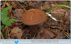 0_10b546_22eb48de_orig.png