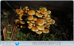 0_1122ed_5c9a8787_orig.png