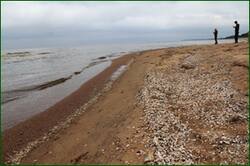 0_1292e0_19f42450_orig.jpg