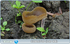 0_107eba_2175e7d1_orig.png