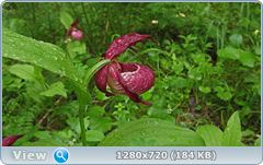 0_1086de_98421188_orig.png