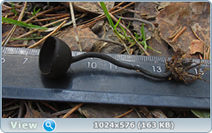 0_11e4ea_f6059928_orig.png