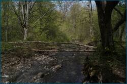0_ccfa5_971ef53d_orig.jpg