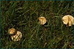 0_cd55a_4f34fc5a_orig.jpg