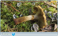 0_e524e_1f21c5b3_orig.png
