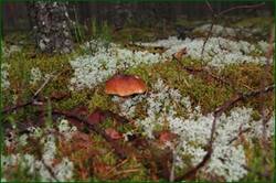 0_12922a_641b41eb_orig.jpg