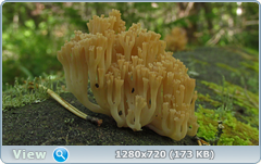 0_10566e_7fe5e50c_orig.png