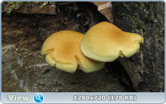 0_106550_7370b375_orig.png