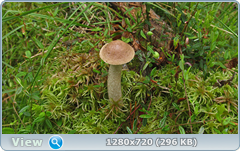 0_10a2df_e11b4016_orig.png