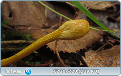 0_10c74a_97f13014_orig.png