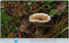0_10c76e_3bc8598_orig.png