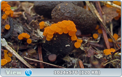 0_12610a_63a7380d_orig.png