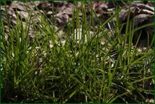 0_f55d4_185d1392_orig.jpg