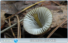 0_109852_5f3627c8_orig.png
