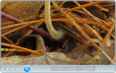 0_109864_ab233964_orig.png